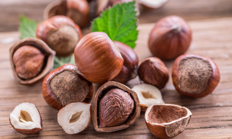 hazelnuts-from-different-regions-shown-to-have-different-metabolites