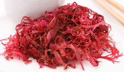 Edible red hot sale seaweed