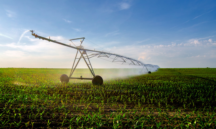 New satellite-based algorithm pinpoints crop water use and management - New Food