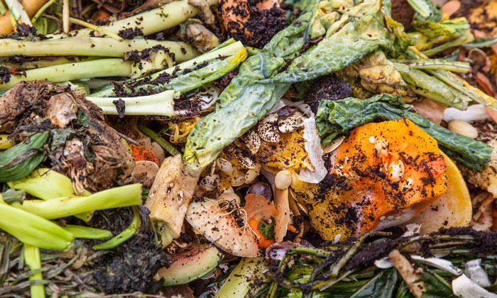 5-ways-food-waste-is-destroying-our-beautiful-planet-new-food-magazine