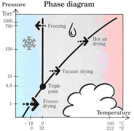 Lyophilization diagram
