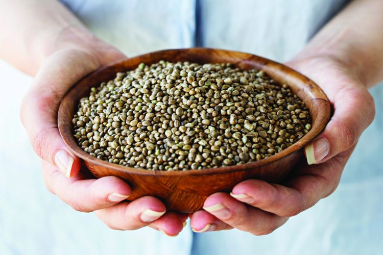 Hemp seeds to be legalised as a food New Food Magazine