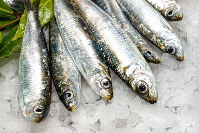 EFSA advises on histamine prevention in fishery products