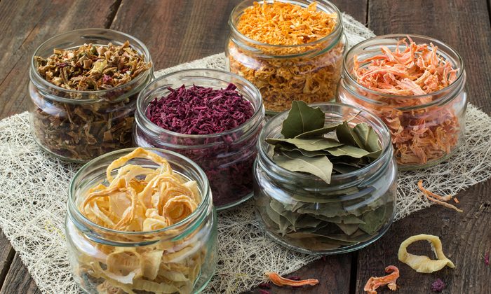 business plan of dehydrated vegetables