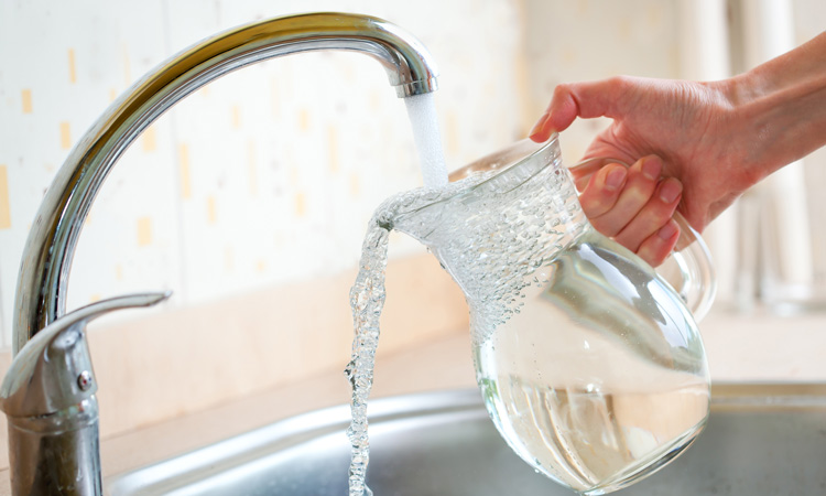 Water chemicals attributable for five percent of bladder cancer cases in EU - New Food